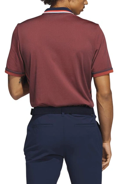 Shop Adidas Golf Ultimate365 Primeknit Performance Golf Polo In Collegiate Navy/ Preloved Red