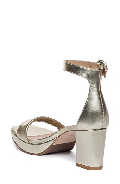 Shop Bernardo Footwear Carla Square Toed Ankle Strap Sandal In Champagne
