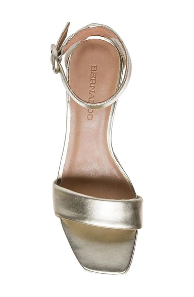 Shop Bernardo Footwear Carla Square Toed Ankle Strap Sandal In Champagne