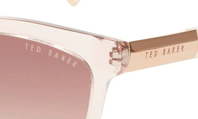 Ted Baker Full Rim Cat Eye Sunglasses In Blush