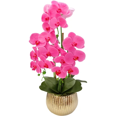 Shop Vivience Pink Orchid Plant In Round Gold Striped Design Vase