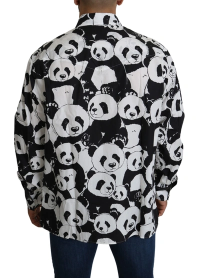Shop Dolce & Gabbana Panda Print Pure Cotton Shirt - Black Men's White
