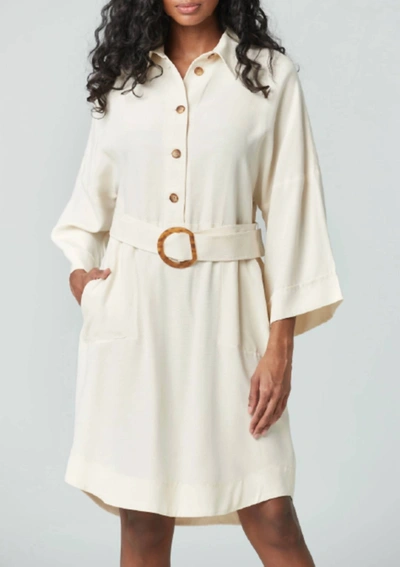 Shop Iris Setlakwe Half Buttoned Shirt Dress In Natural In White
