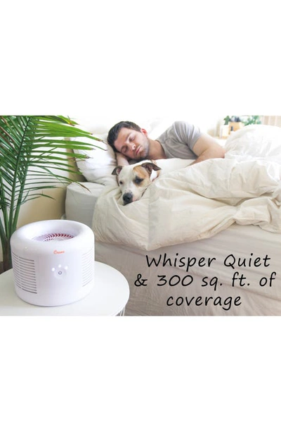 Crane Air Hepa Type Air Purifier In White