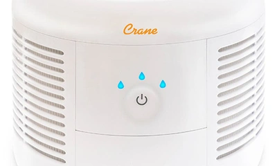 Shop Crane Air Hepa Air Purifier In White