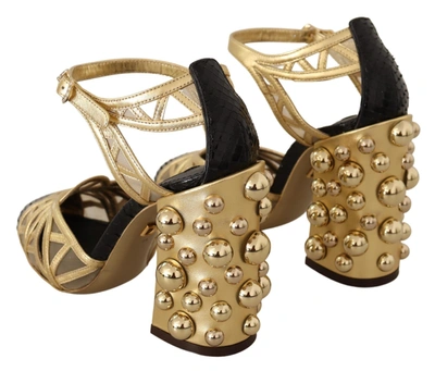 Shop Dolce & Gabbana Black Gold Leather Studded Ankle Straps Women's Shoes