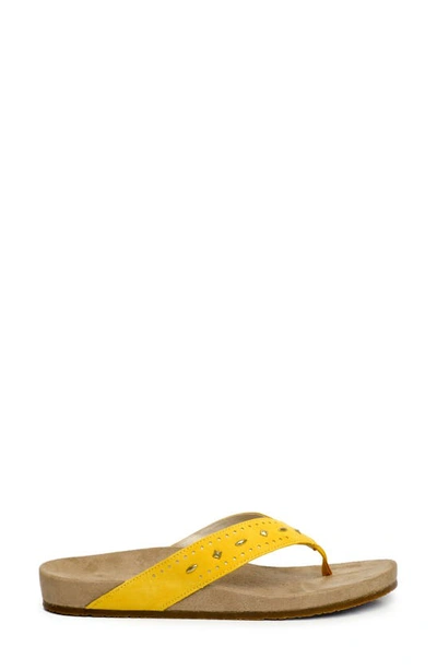 Shop Revitalign Kena Stud Flip Flop In Mineral Yellow