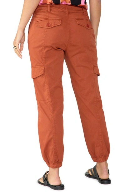 Shop Sanctuary Rebel Crop Stretch Cotton Pants In Cool Clay