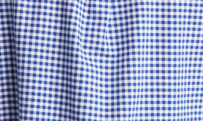 Polo Ralph Lauren Ralph Lauren Gingham Long Sleeve Shirt Blue