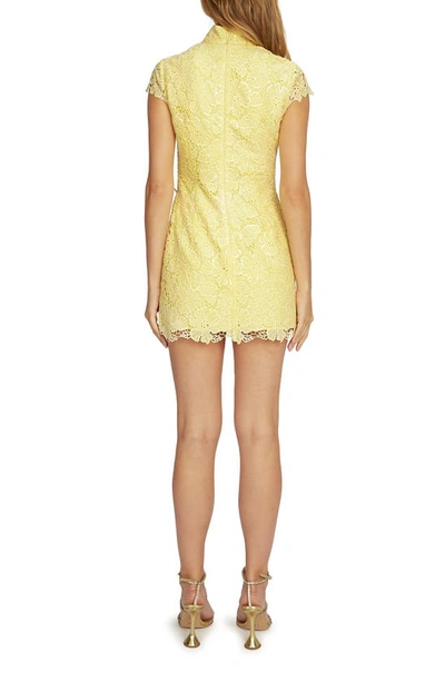 Shop Sau Lee Rae Lace Overlay Sheath Dress In Lemon Yellow