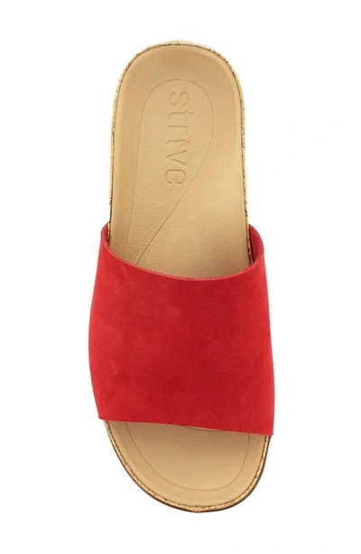 Shop Strive Ithaca Slide Sandal In Scarlet