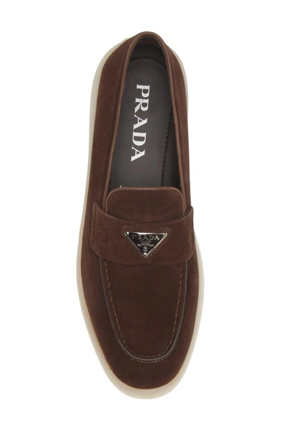 Prada Almond Toe Leather Loafers With Suede Finish In Multicolor