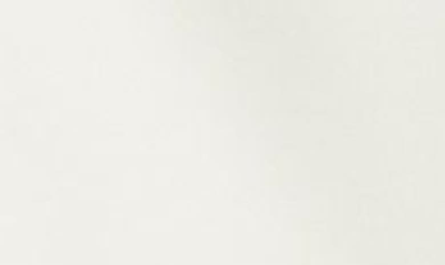 Berle Flat Front Shorts In Stone