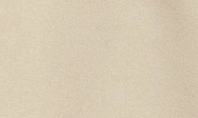 Berle Microfiber Flat Front Shorts In Tan