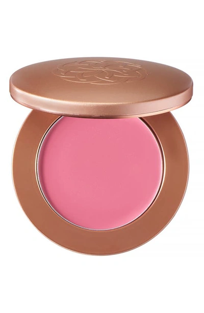 Shop Yensa Super Serum Silk Cream Blush In Radiant Rose