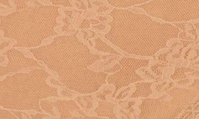 Natori Bliss Allure Lace French Cut Panties In Cafe