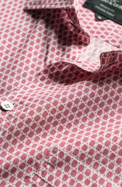Shop Rodd & Gunn Rosebank Neat Short Sleeve Button-up Shirt In Rosewater