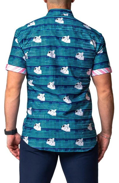 Maceoo Galileo Dog Dream Regular Fit Short Sleeve Button-up Shirt In Blue