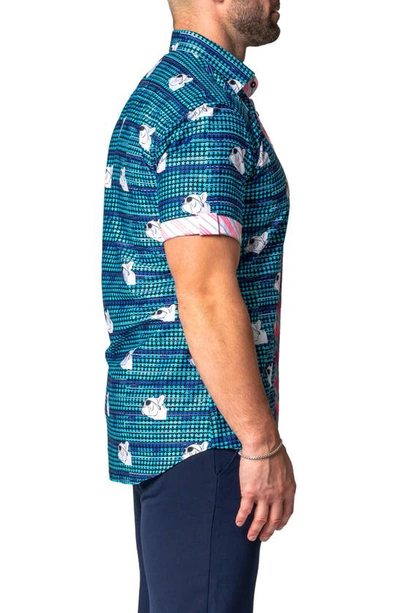 Shop Maceoo Galileo Dog Dream Regular Fit Short Sleeve Button-up Shirt In Blue
