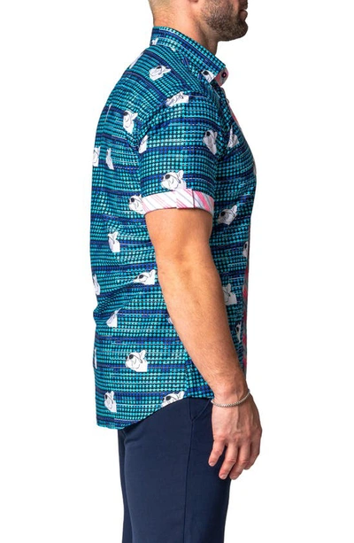 Maceoo Galileo Dog Dream Regular Fit Short Sleeve Button-up Shirt In Blue