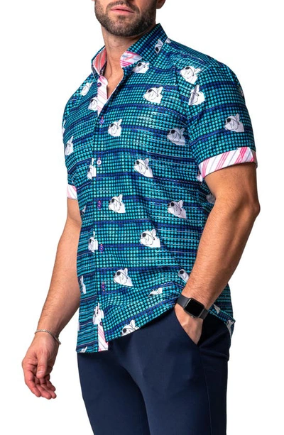 Maceoo Galileo Dog Dream Regular Fit Short Sleeve Button-up Shirt In Blue