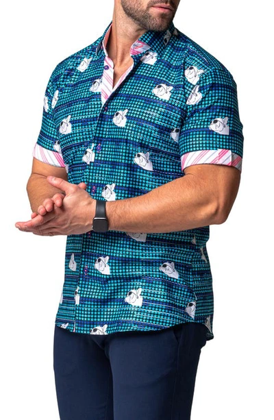 Maceoo Galileo Dog Dream Regular Fit Short Sleeve Button-up Shirt In Blue