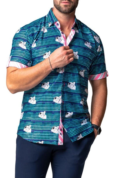 Maceoo Galileo Dog Dream Regular Fit Short Sleeve Button-up Shirt In Blue