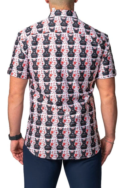 Maceoo Galileo Guilty Dog Regular Fit Short Sleeve Button-up Shirt In White