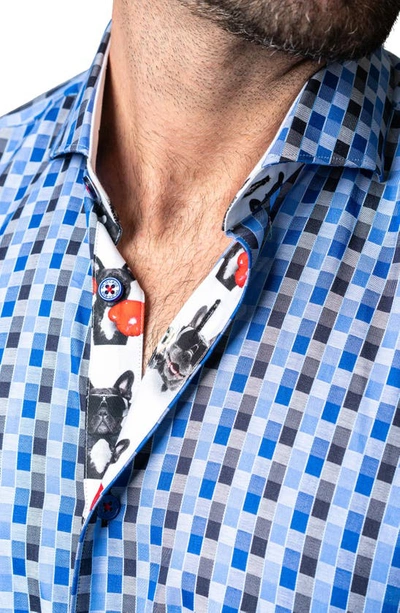 Maceoo Einstein Burn Blue Button-up Shirt In Blue