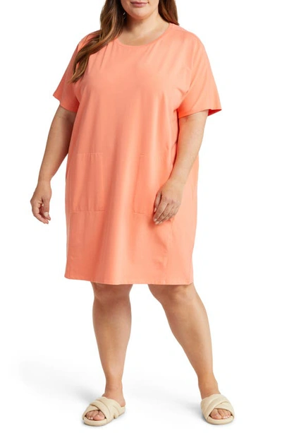 Shop Eileen Fisher Dolman Sleeve Organic Pima Cotton Blend T-shirt Dress In Guava