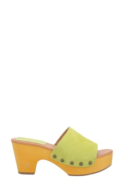 Shop Dingo Beechwood Platform Side Sandal In Lime