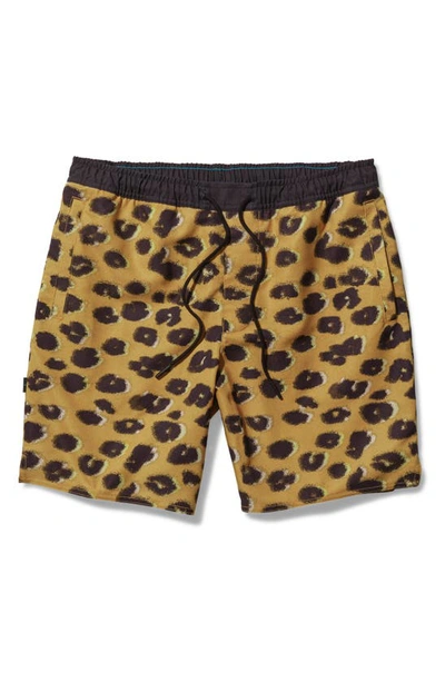 Shop Stance Complex Hybrid Shorts In Leopard Fade