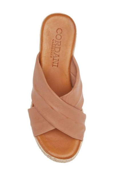 Shop Cordani Bella Espadrille Wedge Sandal In Camel Leather