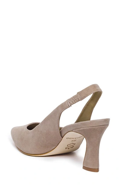 Bernardo Slingback Pump In Beige Suede