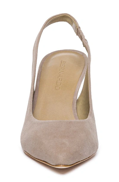 Bernardo Slingback Pump In Beige Suede