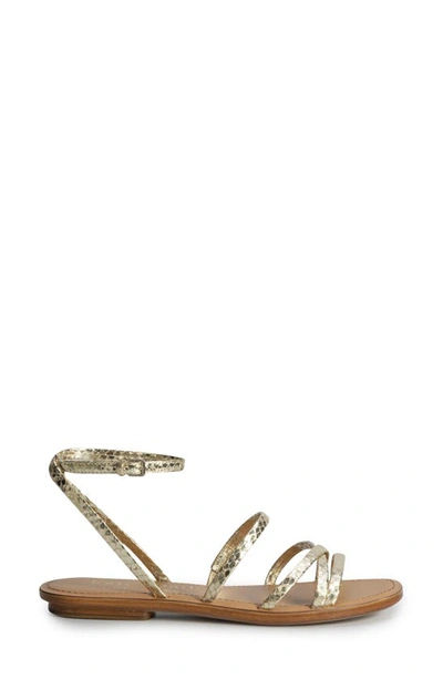 Shop Kate Spade New York Cove Metallic Snakeskin Embossed Sandal In Pale Gold