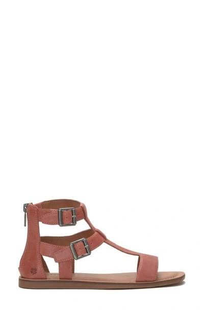 Shop Lucky Brand Brelin Gladiator Sandal In Eco Red