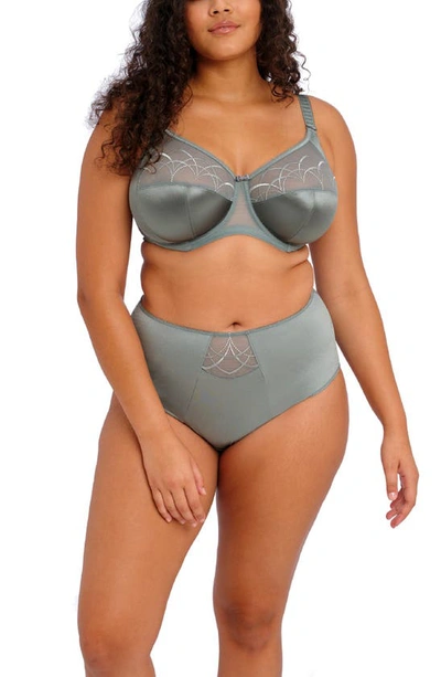 Shop Elomi Cate Full Figure High Waist Briefs In Willow