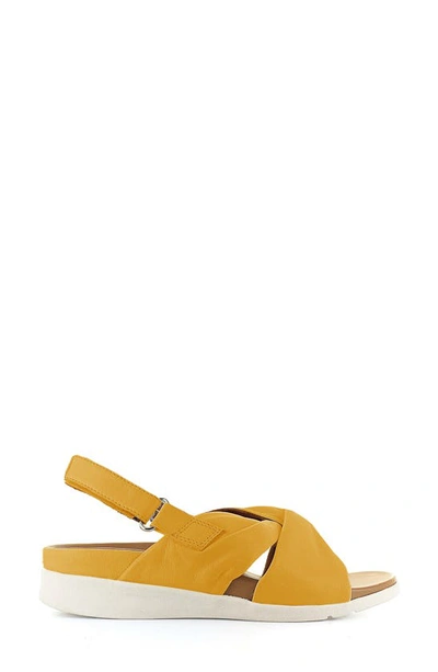 Shop Strive Tahiti Ii Sandal In Amber