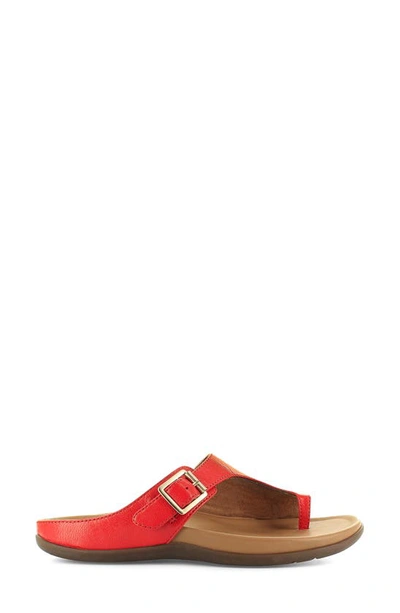 Shop Strive Java Ii Slide Sandal In Scarlet