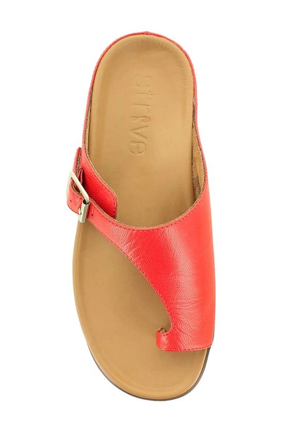 Shop Strive Java Ii Slide Sandal In Scarlet