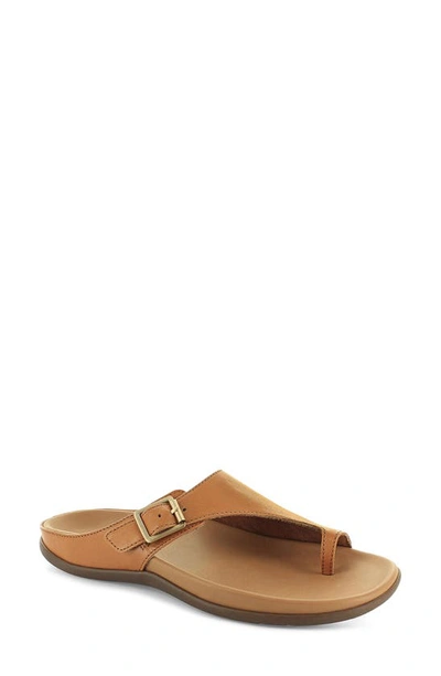 Shop Strive Java Ii Slide Sandal In Tan