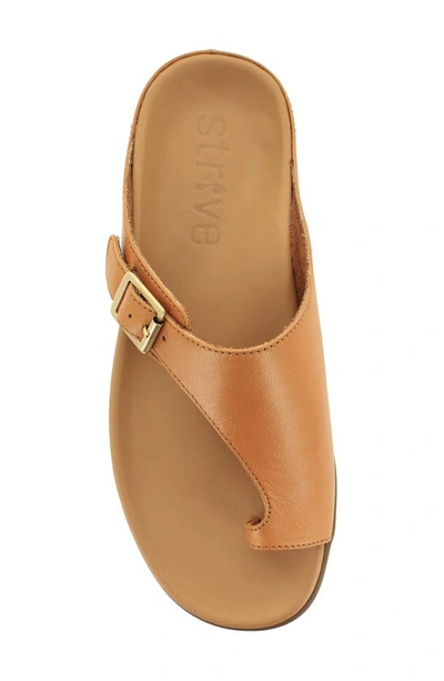 Shop Strive Java Ii Slide Sandal In Tan