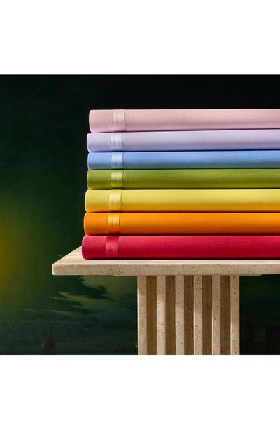 Matouk Nocturne Euro Sham In Ivory