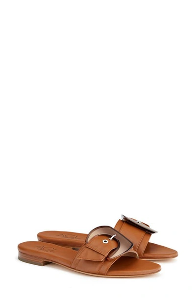 Shop Agl Attilio Giusti Leombruni Alice Buckle Slide Sandal In Brandy