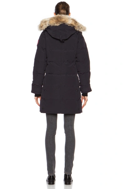 Shop Canada Goose Shelburne Parka With Coyote Fur In Navy