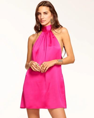 Shop Ramy Brook Sam Halter Mini Dress In Paradise Pink