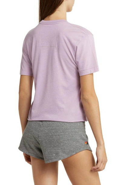 Aviator Nation Logo Boyfriend Tee In Mauve