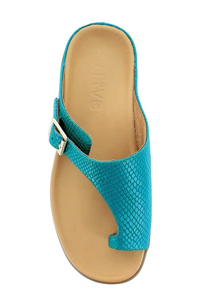 Shop Strive Java Ii Slide Sandal In Teal