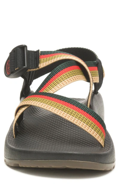 Shop Chaco Z1 Classic Sandal In Tetra Moss